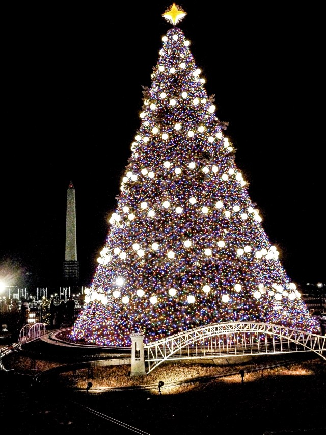 National_Tree,_2013-1020053