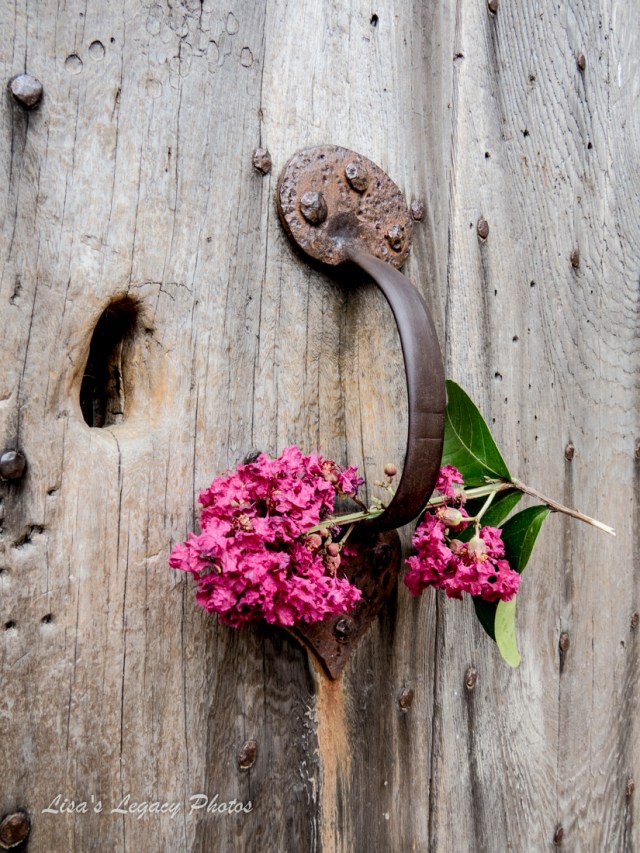 the-old-vault-mount-vernon-8250