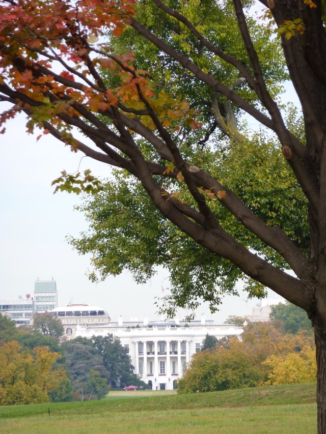 white-house-fall-1