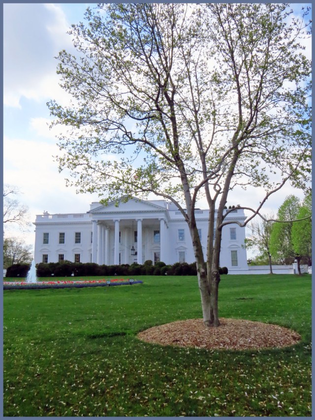 Capital Photo History Tour - Booth_3620