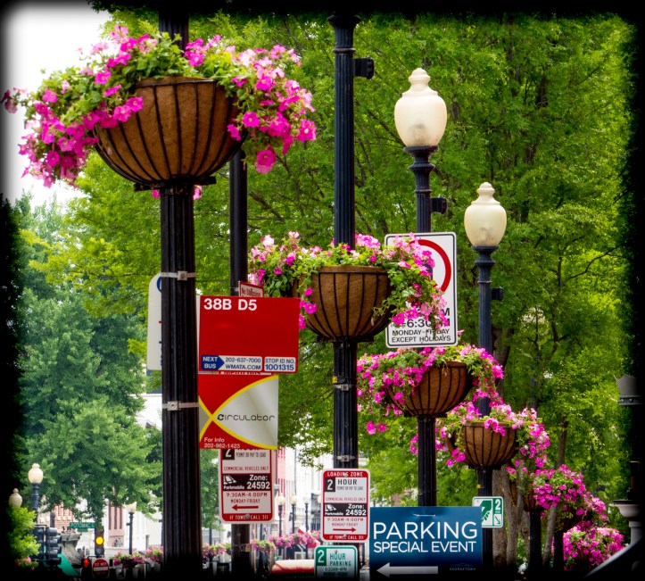 Georgetown Photo Tour -