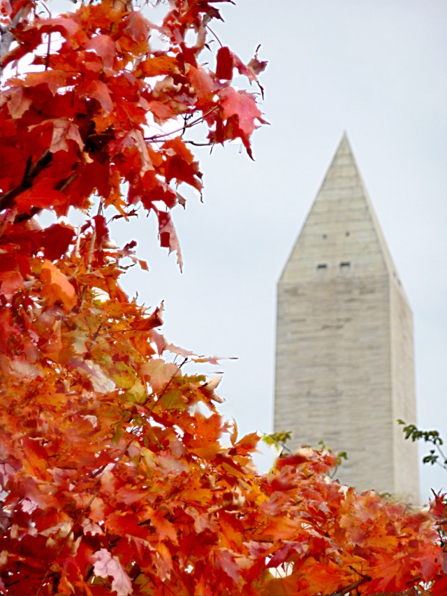 fall-washington-monument-2