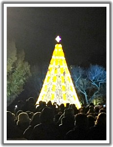 White House Christmas Tree 2015