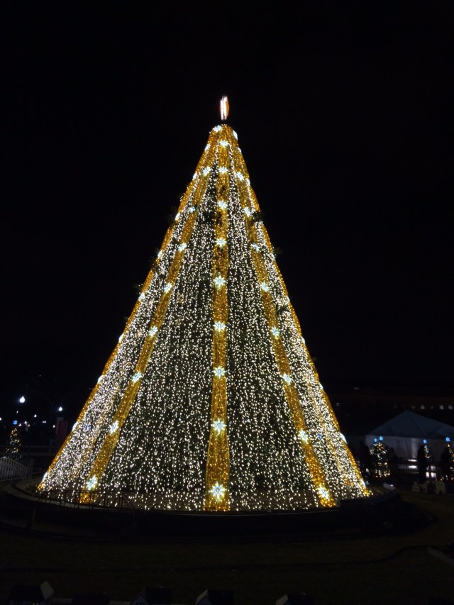 White House Christmas tree