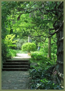 Dumbarton Oaks Gardens