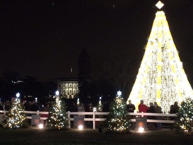 White House Christmas tree
